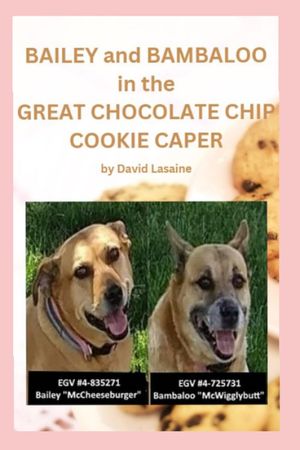 Bailey and Bambaloo in the Great Chocolate Chip Cookie Caper by David Lasaine