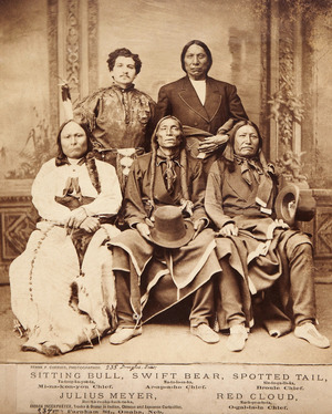 Cover image for Indian Chiefs