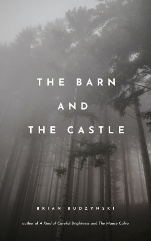 The Barn and the Castle by Brian Budzynski