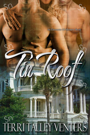 Cover image for Tin Roof
