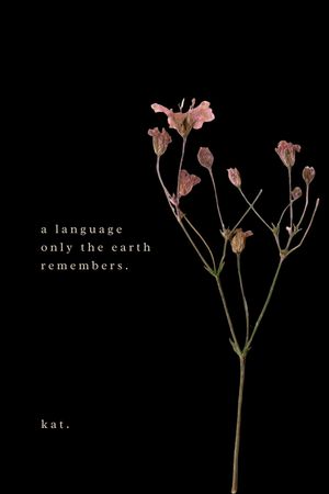 a language only the earth remembers. by kat