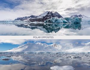 Polar Opposites by Lauri L. Novak