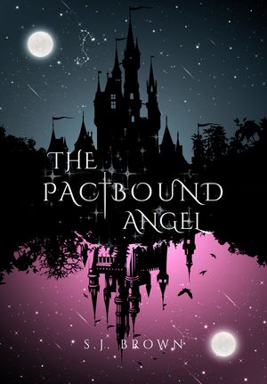 The Pactbound Angel (Volume 1, Edition 1) by S. J. Brown