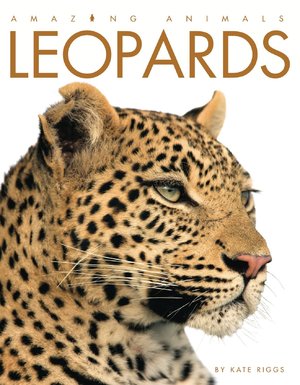 Leopards