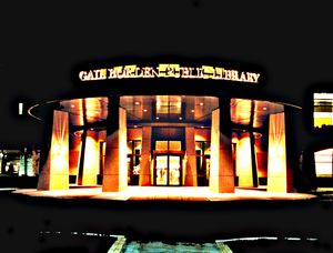 270 North Grove at Night by BiblioBoard
